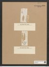 Rhaphoneis marsiana Grun. (de-Toni-Nr.: Genus 78, Species 2838) Zeichnungen Sammlung Grunow Nr. 5794 (NHMW-BOT-W0374200)